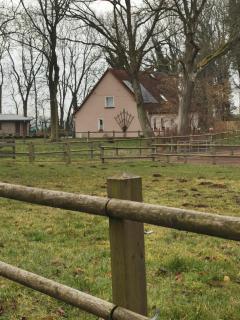 Ferienwohnung Am Stadtrand Garz Rügen - Garz-Rügen - 8