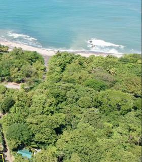 Pochote Jungle House - Carmen - 7