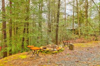 Bear in the Woods - Blue Ridge - 8