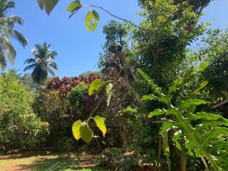 Mirror Lake Residence - 9