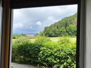 Bauernhof Podorn - Ferienwohnung Panoramablick - Sankt Kanzian - 3