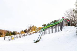 GUEST HOUSE EARTH【THE MOON & THE SUN】 - 6