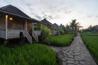 Uma Sebatu Villa - Tegalalang - 1