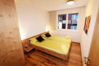 Symbiose - Saas-Fee - 5