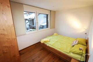 Symbiose - Saas-Fee - 2