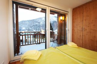 Symbiose - Saas-Fee - 3