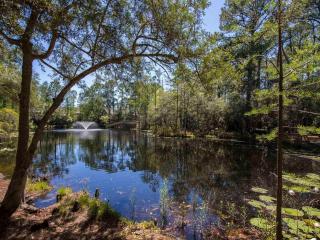 30A Rise and Shine - Seagrove Beach - 6