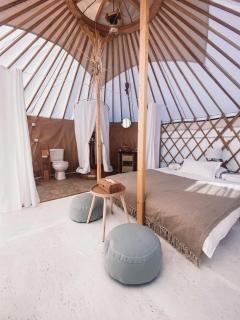 Glamping Iurte Mongole Spiritul Zimbrului - Vama Buzăului - 4