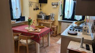 i tulipani - Miagliano - 1