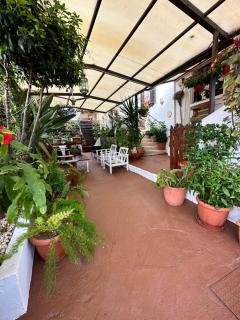 Estia Vasilis Manoli - 5