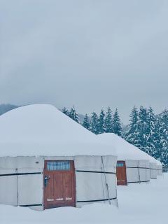 Glamping Spiritul Zimbrului - 4