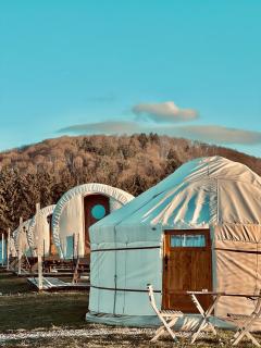 Glamping Spiritul Zimbrului - Vama Buzăului - 3