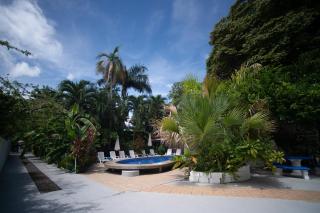 La Perlita - Jacó - 0