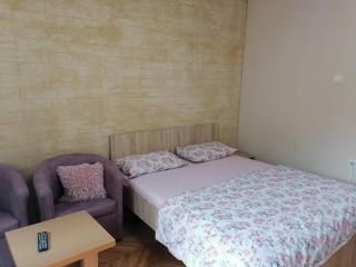 Apartmani Milosavljevic - Soko Banja - 5