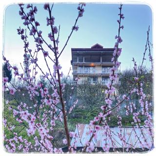 La Heim Hostels - Manāli - 0
