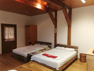 Simple Studio 36m2 in the Center of Burgdorf private Parking SMALL BATHROOM - Burgdorf - 4