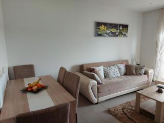 HELA Lux apartment - Modriča - 2