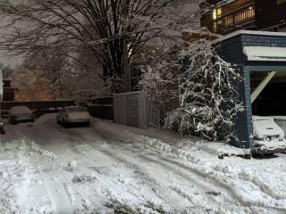 Heritage Townhouse in Downtown Halifax - 1