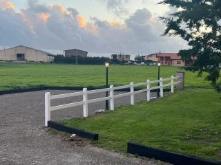 Estudios en Loredo - 8