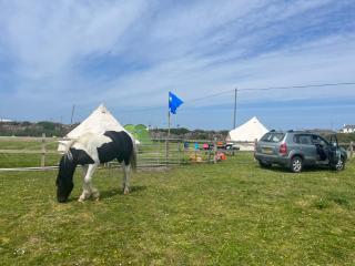 Gwens Garden bell tent - 4
