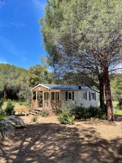 Palombaggia location i pini Porto Vecchio - Porto-Vecchio - 5
