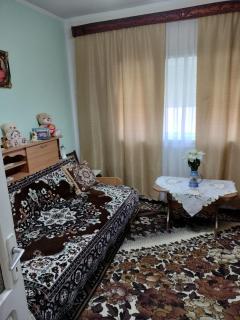 Casa Tudor-Nicolae - Borşa - 5