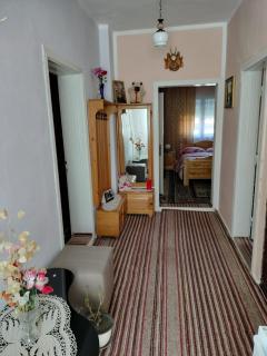 Casa Tudor-Nicolae - Borşa - 3