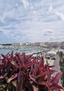 La finestra sul porto - Trani - 2