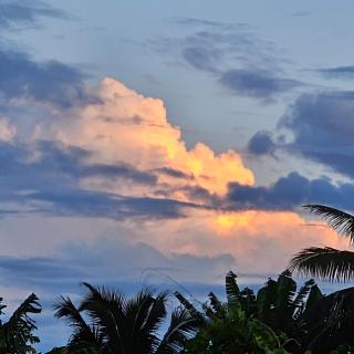 Ann's Beach House - Rarotonga - 9