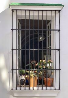 Botánico Casa Rural - 1