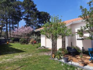 Les Amandiers - Biscarrosse - 7
