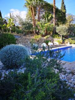 Finca Dariana Padel & Pool - Alora - 3