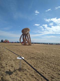 Hotel Terramare - Lido di Jesolo - 1