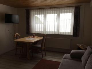 Haus-Fechtig-Wohnung-TypB-Parterre - Bonndorf im Schwarzwald - 2