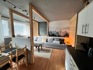 Apartmán Pinus - Donovaly - 8
