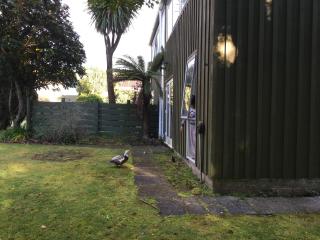 Water's Edge City Retreat - 8