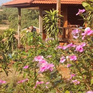 Happy bungalow & trekking - Banlung - 9