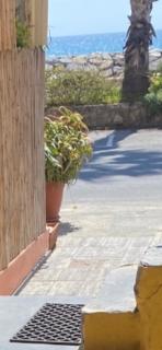 Frantoio - Riva Ligure - 9