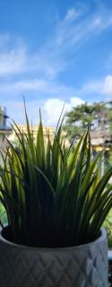 Martina House - Afragola - 3