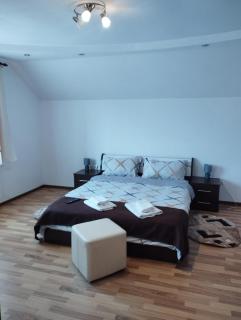 Casa Alex - Vişeu de Sus - 1