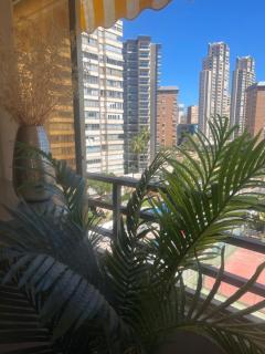 PRECIOSO APARTAMENTO EN EL CENTRO DE BENIDORM - Benidorm - 6