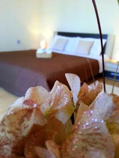 San Cassiano Apartmani - Sukošan - 5