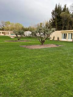 Mas Arietis - Saint-Rémy-de-Provence - 4