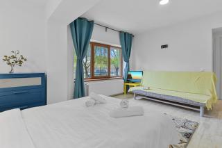 homestay - Otopeni - 4