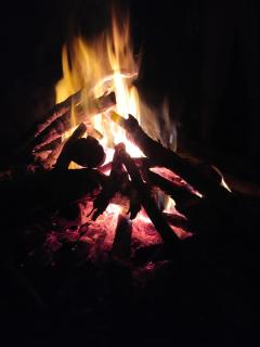 Cassa Cottage Munnar - 2