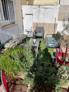 La petite grenouille - Agde - 8