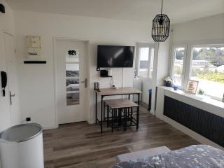 Jolie grand studio avec vue sur les vosges, balcon - Mulhouse - 0