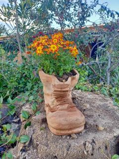 Agriturismo Il Cipresso - 7