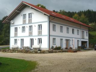 Ferienhof Landhaus Michael - 5