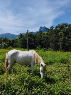 Encanto da Pedra - Visconde De Mauá - 8